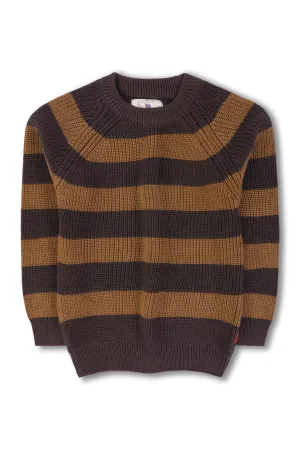 Boys Brown Striped Sweater