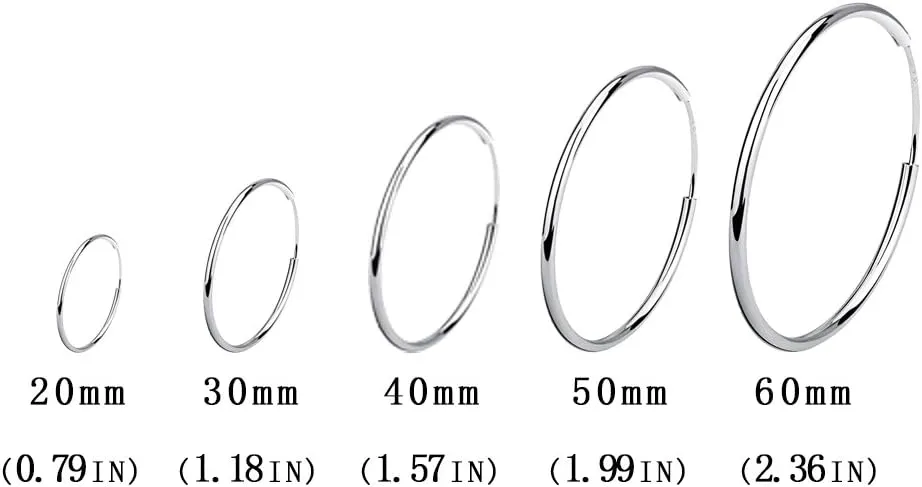 Silver Hoop Earrings Sterling Silver Circle Endless Big Earrings Hoops Jewelry,Fashion Gold Hoop Earring for Women,Daimeter 20,30,40,50,60,70,80mm